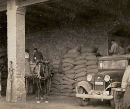 transporte-internacional-03-g.jpg