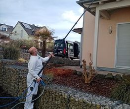 Fassaden-Steinreinigung Renz Bild 6