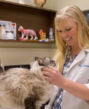 Toro Park Animal Hospital image 2