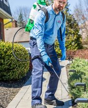 OPC Pest Services - Louisville image 4