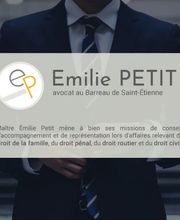 Petit Emilie image 2