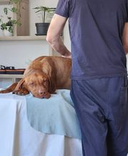 Vibra-énergie Bild 2