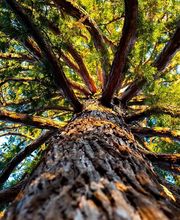 Jakobs Dienstleistung Bild 3