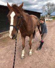 Luana EMINIC HUGO - L'ostéo animaux Bild 9