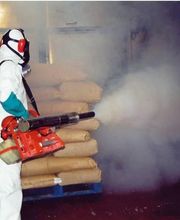 Hygiène et Dératisation d'Auvergne image 10