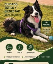 Txapoteando Felices Peluquería canina y felina imagen 5