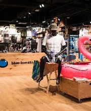 Blue Tomato Shop Regensburg Bild 3