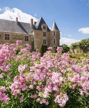 Logis de la Chabotterie image 11