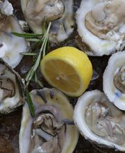 Captain Benjamin's Calabash Seafood Buffet image 2