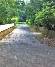 Gartenpflege Gottschalk Bild 14