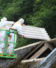 Armorik Diagnostics image 6