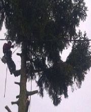 Petrelle Joachim image 1