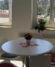 Tisch mit 5 Stühlen und einem Blumentopf. Dahinter 2 Fenster mit Pflanzen.