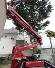 Garten- und Landschaftsbau Aliu Bild 5