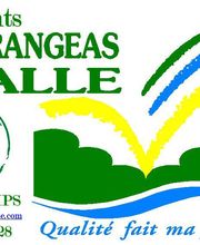 Sas Madrangeas Vialle image 4