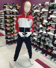 Gallery Cliente