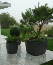 VITA VERDE AG Bild 7