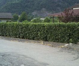 Bugada Giardini Bild 8