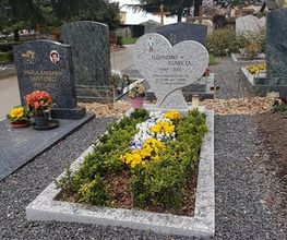 Clément Borlat et fils Bild 1