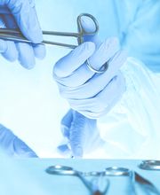 Kleintierpraxis von Werthern GmbH Bild 3