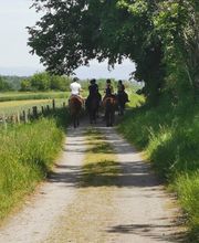 Ecole D'Equitation De Chazeron image 3