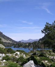 Chateau Rolland image 4