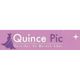 quincepicvestidoslogotipo.jpg
