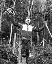 Baumbegeisterung Bild 2