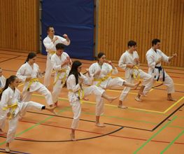 Karate-Teens