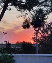 Bed and Breakfast Casa Oliva 52 imagen 10