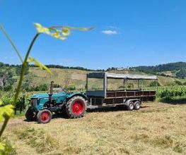 Weinhotel Lenz Bild 1