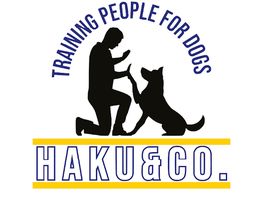 Haku & Co Hundeschule Bild 3