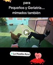 La Huella Azul S.L. imagen 3