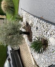 Fischer Philippe Bild 4