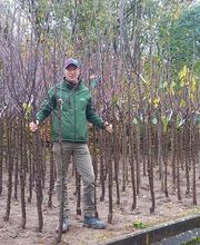 La Main Verte image 12