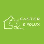 Castor et Polux