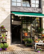 L'ATELIER NATURE ... image 11