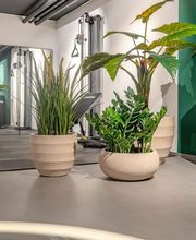 Elvor, Doris Busslinger Bild 4