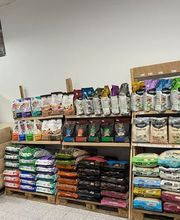 Mascotas gourmet imagen 4