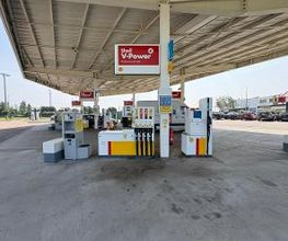 Shell image 1