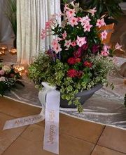 Bestattungen Trotter Bild 3