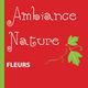 Ambiance Nature