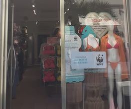 Calzedonia immagine 1
