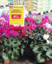 Bricomarché Saint-Jean-De-Muzols image 3