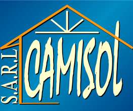 Camisol image 5