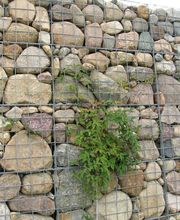 AquaTerra Solutions image 9