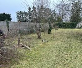 Roye Garden image 9