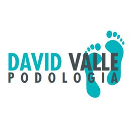 logodavidvalle.PNG