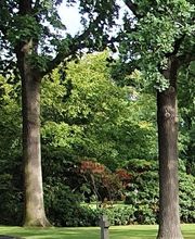 Danisch Bestattungen Bild 5