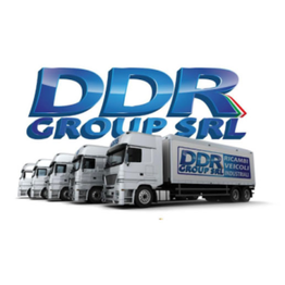 Ddr Group logo
